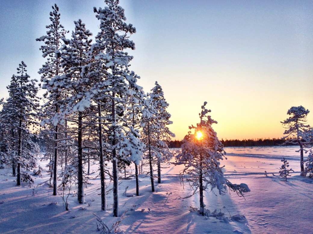 Ranua Lapland Finland